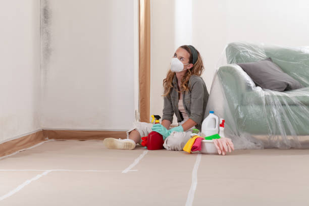 Reliable Basement Mold Remediation contractor in Sumner, WA by Mold Remediation HQ